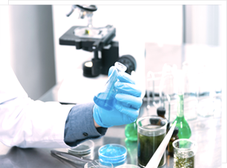 Lab 2